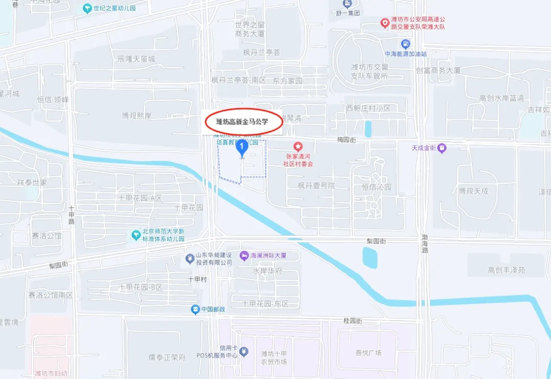 潍坊高新金马公学